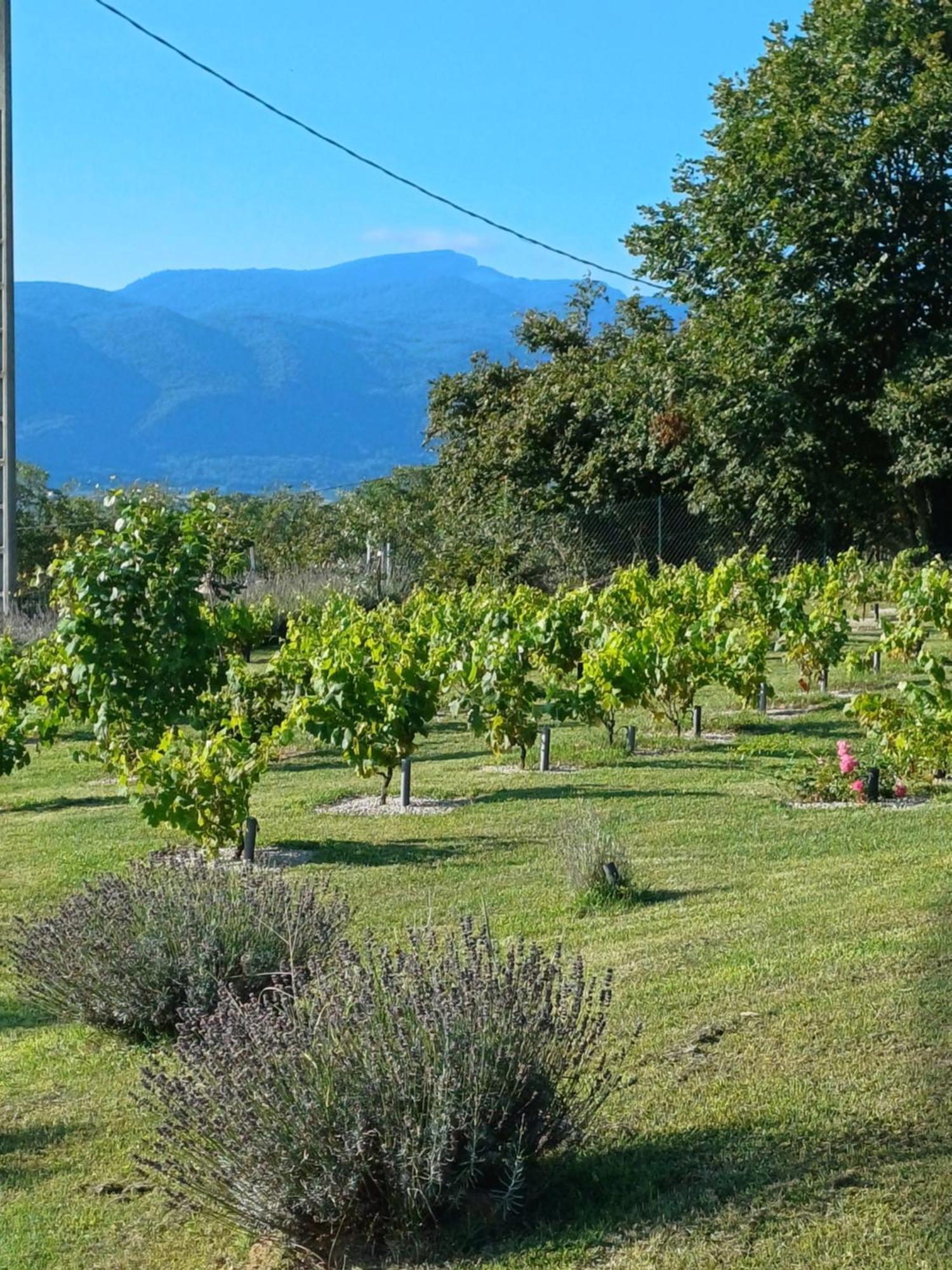 Appartamento Le Pouyet Saint-Lattier Esterno foto